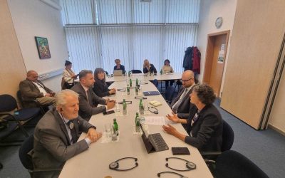 Potpredsjednik FBiH Igor Stojanović sa članovima Komiteta za vanjske poslove Evropskog parlamenta: EU mora odlučnije reagovati na napade na ustavni poredak BiH